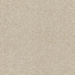 Aniseed