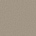 Arctic Grey