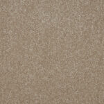 Cambrian Stone