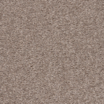 Pine Bark