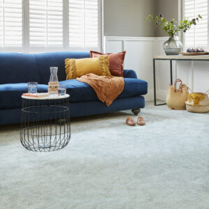 Stainfree Sophisticat by Abingdon